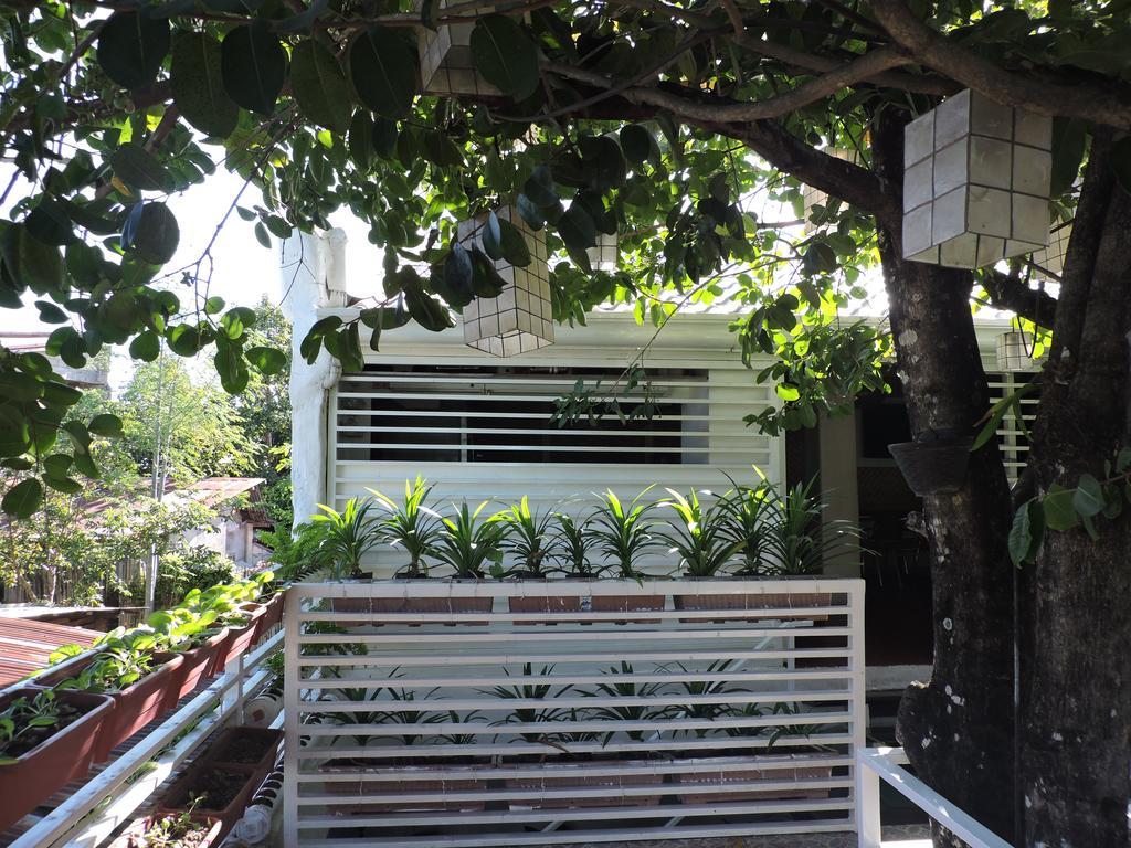 Orange Mangrove Pension House By Sms Hospitality Puerto Princesa Extérieur photo